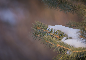 Similar image 21816325