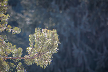 Similar image 21816326