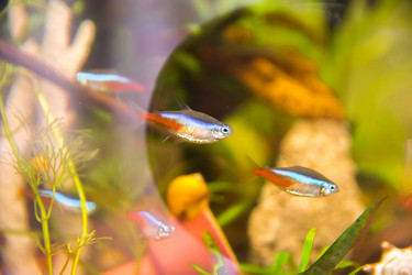 Similar image 21816330