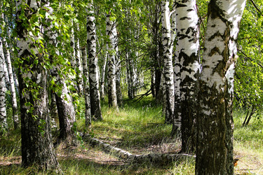 Similar image 21817945