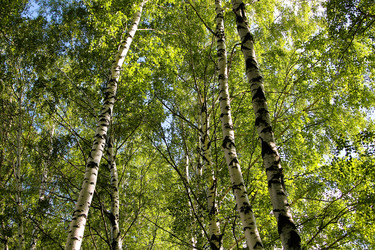 Similar image 21817946