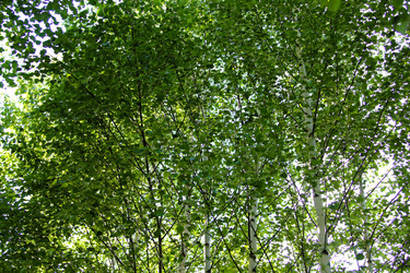 Similar image 21817947