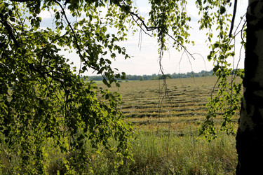 Similar image 21817948