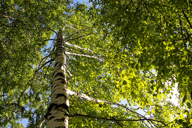 Similar image 21817949