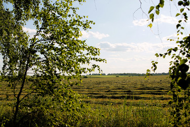 Similar image 21817950