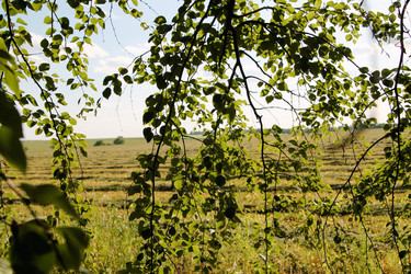 Similar image 21817951