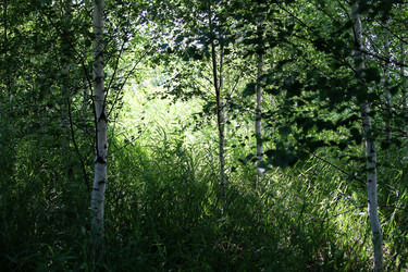 Similar image 21817952