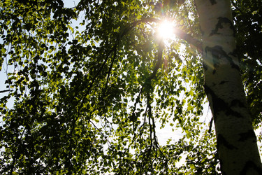 Similar image 21817953