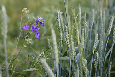 Similar image 21816234