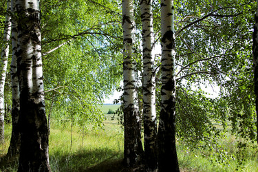 Similar image 21817957