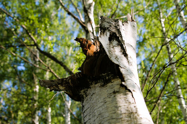 Similar image 21817958