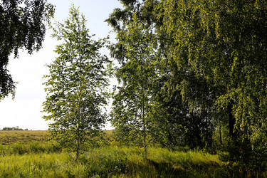 Similar image 21817959