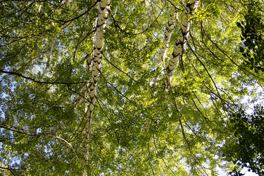 Similar image 21817960