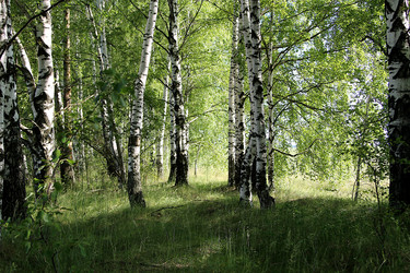 Similar image 21817962