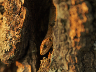 Similar image 21816335