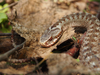 Similar image 21816336