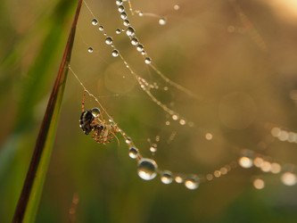 Similar image 21816337