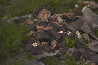 Similar image 21816343