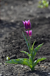 Similar image 21816347