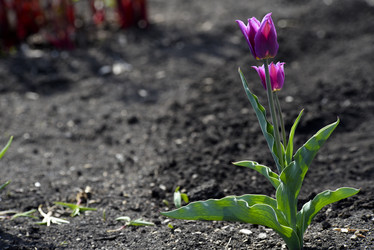 Similar image 21816348