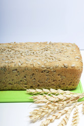 Similar image 21816392