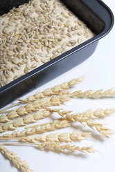 Similar image 21816402