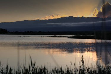 Similar image 21816601