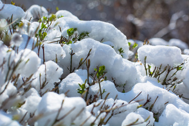 Similar image 21816605