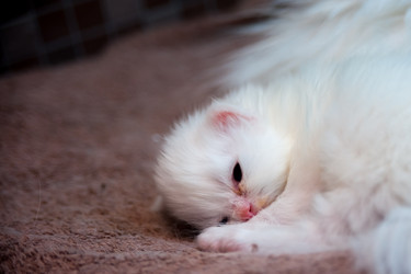 Similar image 21816617