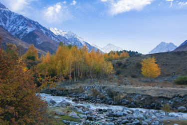 Similar image 21816621