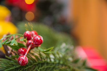 Similar image 21816622