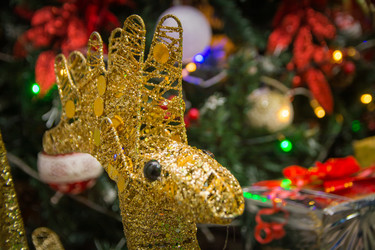 Similar image 21816624