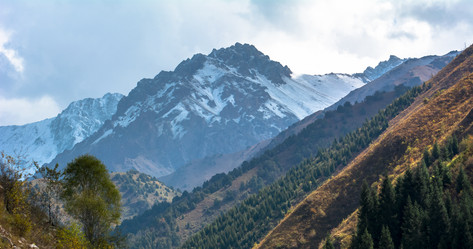 Similar image 21816626