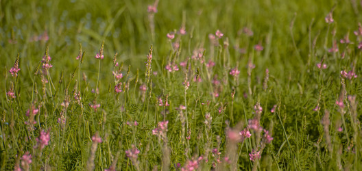 Similar image 21816628