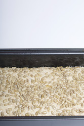 Similar image 21816407