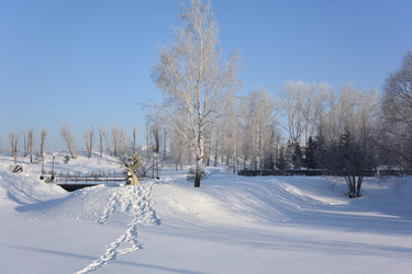 Similar image 21816426