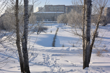 Similar image 21816434