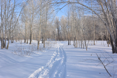 Similar image 21816439