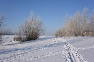 Similar image 21816440