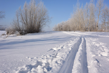 Similar image 21816443