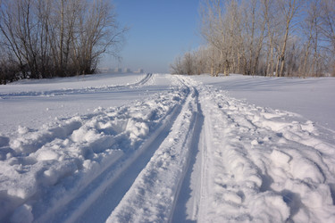 Similar image 21816445