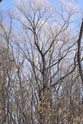 Similar image 21816446