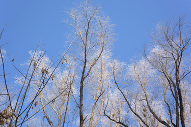 Similar image 21816447