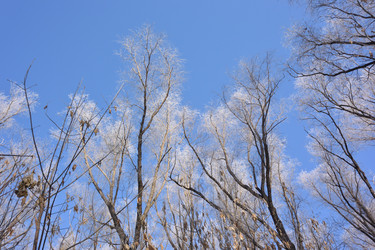 Similar image 21816448