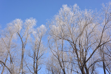 Similar image 21816449