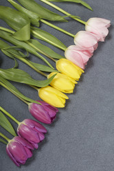 Similar image 21816646