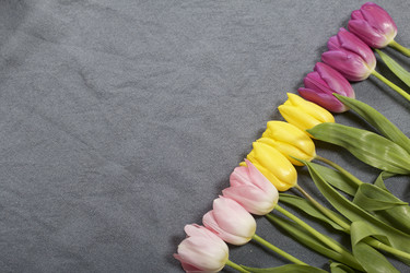 Similar image 21816647