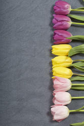 Similar image 21816648