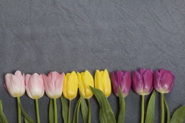 Similar image 21816649