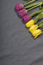 Similar image 21816650